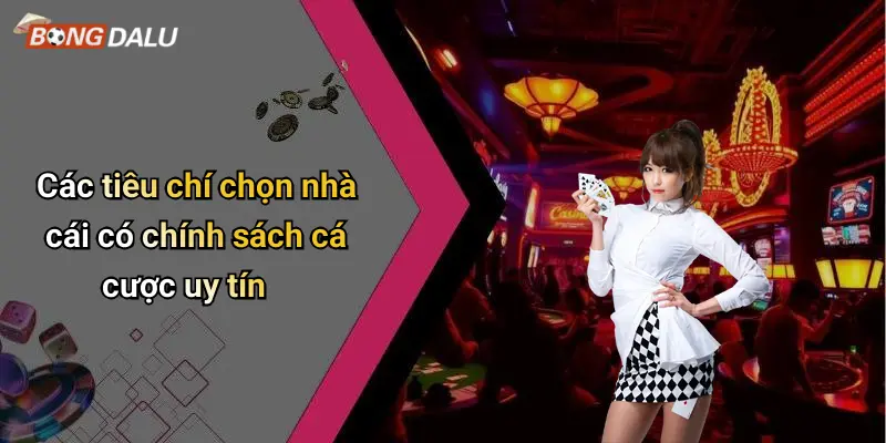 Các tiêu chí chọn nhà cái có chính sách cá cược uy tín