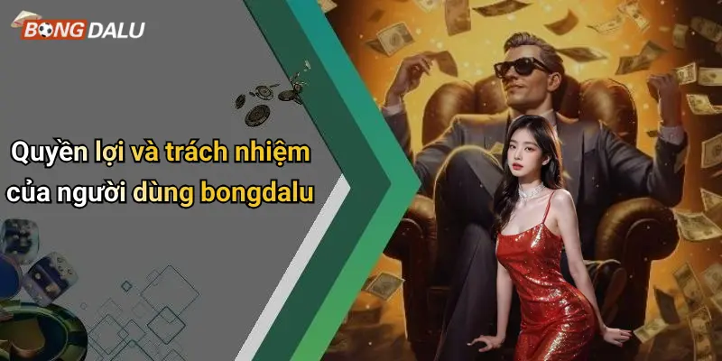 Quyền lợi và trách nhiệm của người dùng bongdalu