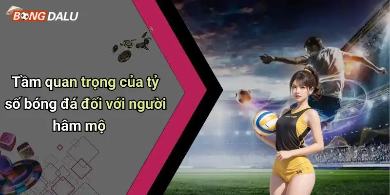 Tầm quan trọng của tỷ số bóng đá đối với người hâm mộ