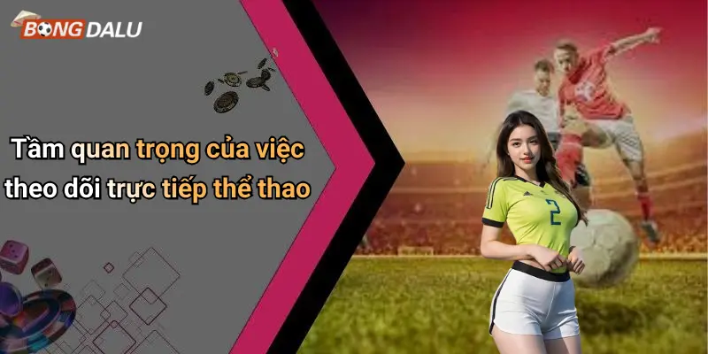 Tầm quan trọng của việc theo dõi trực tiếp thể thao