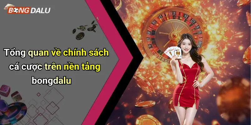 Tổng quan về chính sách cá cược trên nền tảng bongdalu