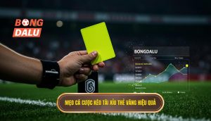 Mẹo cá cược kèo tài xỉu thẻ vàng hiệu quả
