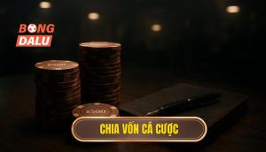 thumb - chia vốn cá cược