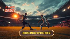 BONGDALU_ Đẳng cấp chuyên gia bóng đá