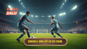 Bongdalu_ Đẳng cấp soi kèo chuẩn.