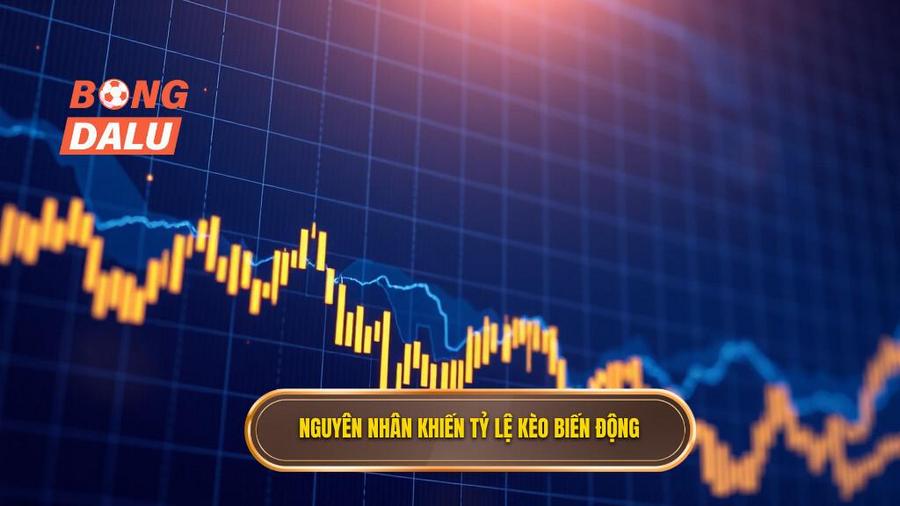 Nguyên nhân khiến tỷ lệ kèo biến động