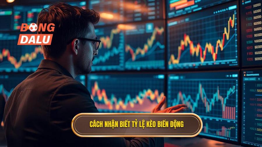 Cách nhận biết tỷ lệ kèo biến động