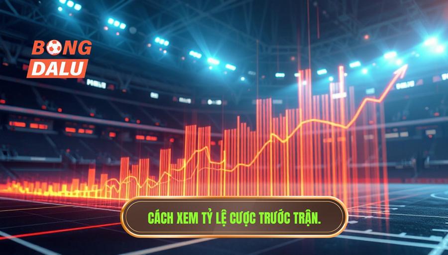 Cách xem tỷ lệ cược trước trận