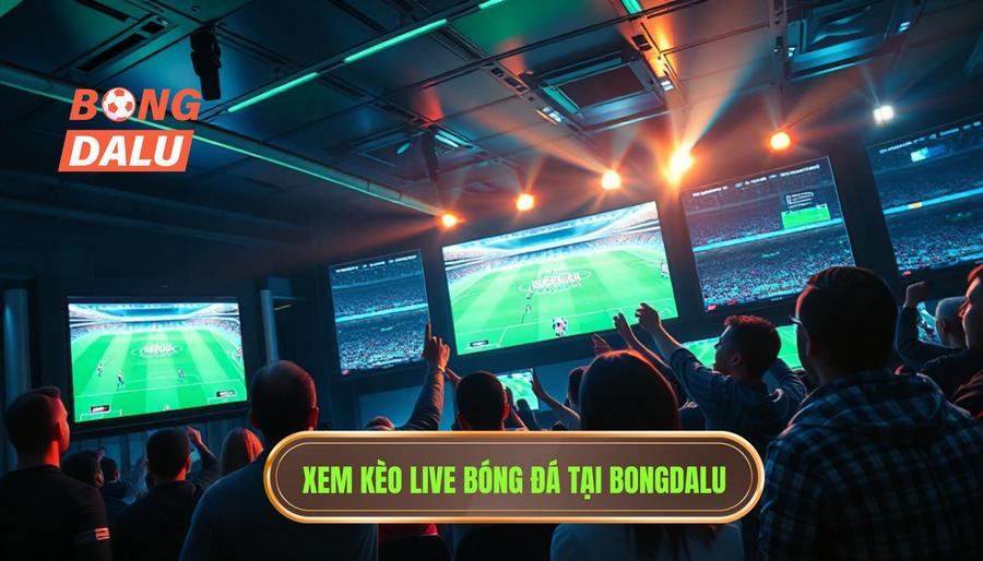 Xem kèo live bóng đá tại Bongdalu