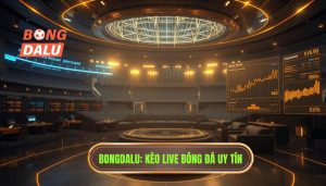 Bongdalu Kèo live bóng đá uy tín