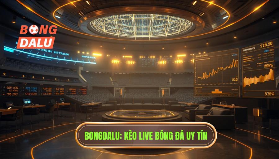 Bongdalu Kèo live bóng đá uy tín