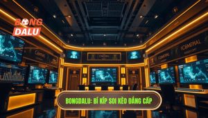 Kinh nghiệm soi kèo cho người mới - Bí kíp thắng lớn tại BONGDALU